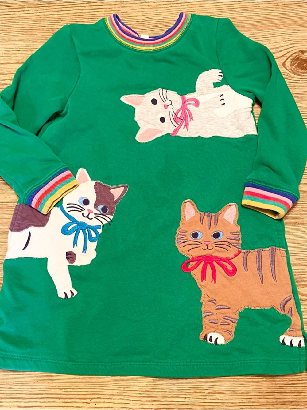 Mini Boden Cats Appliqué Green Sweatshirt Dress with Green and Rainbow Trim 5/6